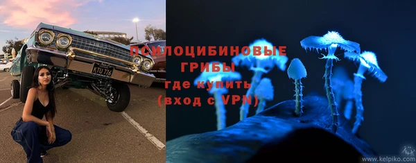 эйфоретик Горняк
