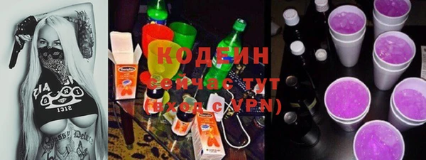 эйфоретик Горняк