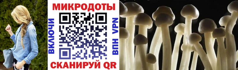 Галлюциногенные грибы Magic Shrooms  Купить закладки  Ачинск 